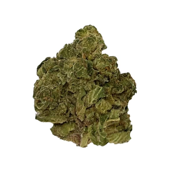 Apple Fritter Hybrid 28G $49 BLOW OUT SALE