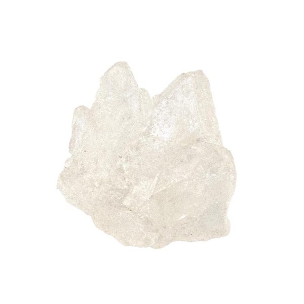 Pure White Molly - Image 2